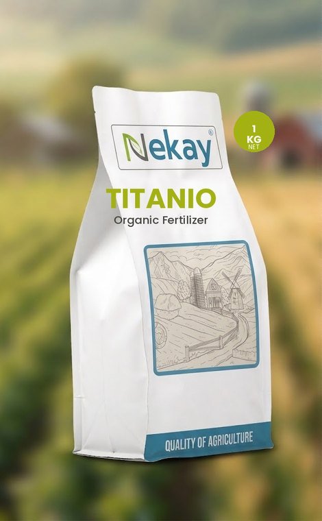TITANIO 1kg